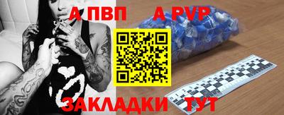 шишки Аргун