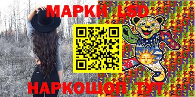 шишки Аргун