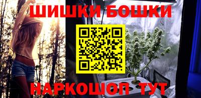 шишки Аргун