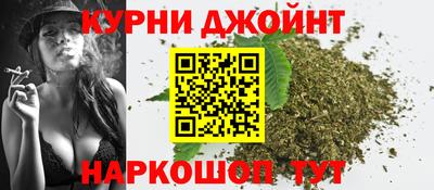 шишки Аргун